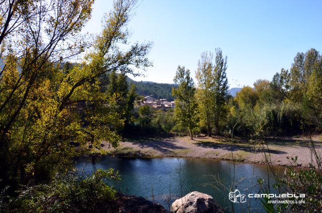 Fiestas Arañuel Inmaculada Concepción 2014.