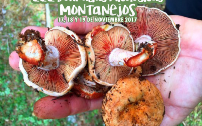 III Jornadas Micológicas de Montanejos 2017