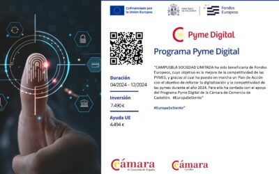Pyme Digital Program of the Chamber of Commerce of Castellón