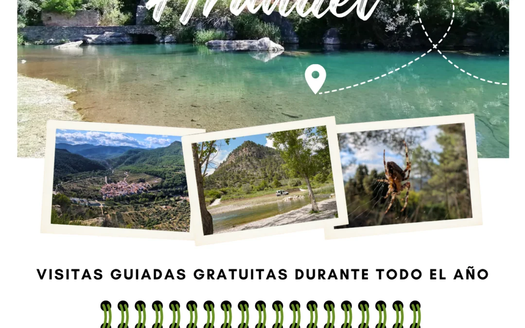🌿 Rutas guiadas por Arañuel
