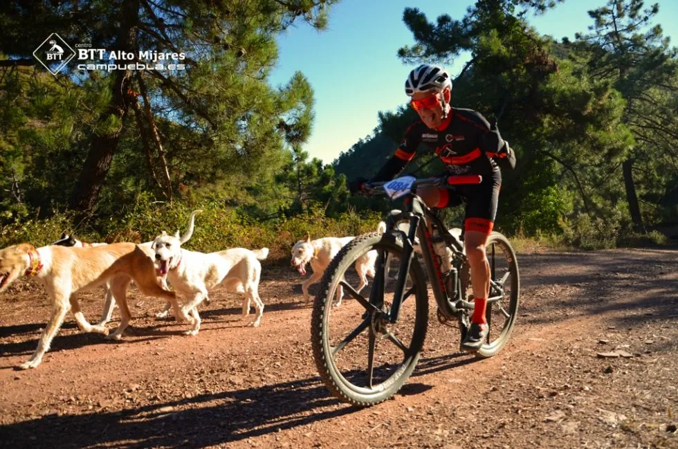 Trans Espadan MTB 2017