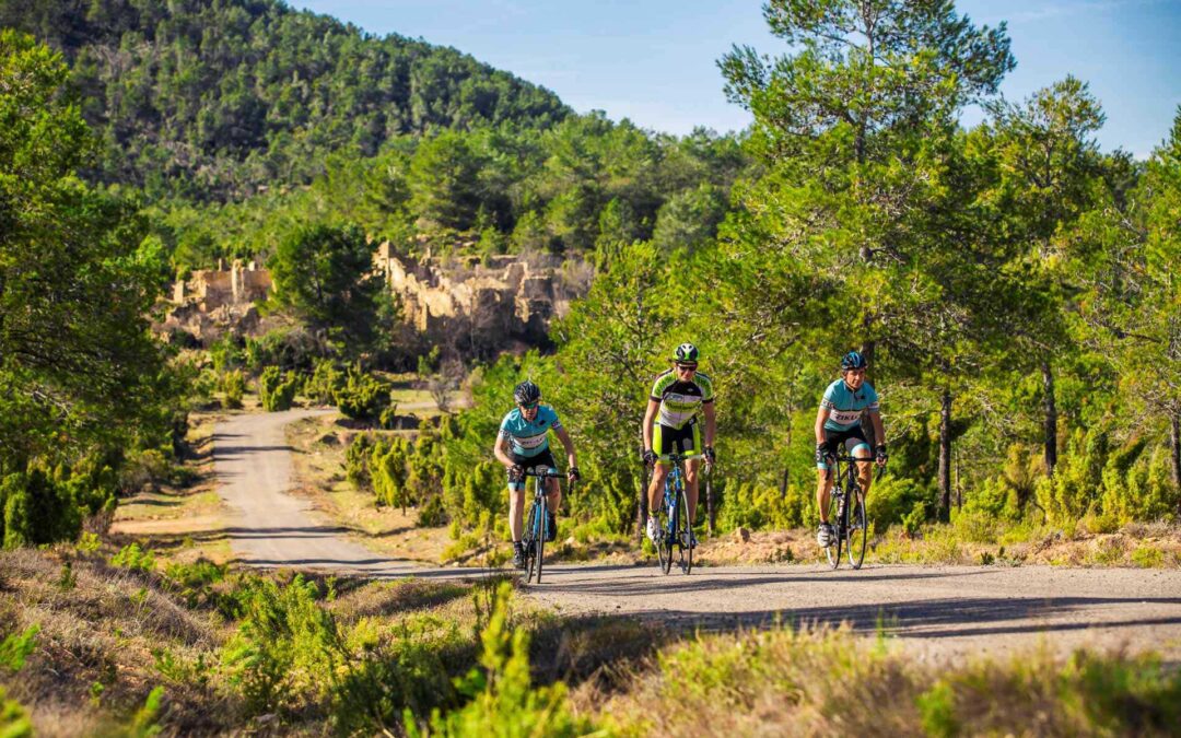 Route 1 – Between Farmhouses