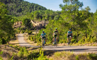 Ruta 1 – Entre Masías