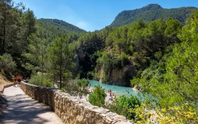 Our commitment to sustainability